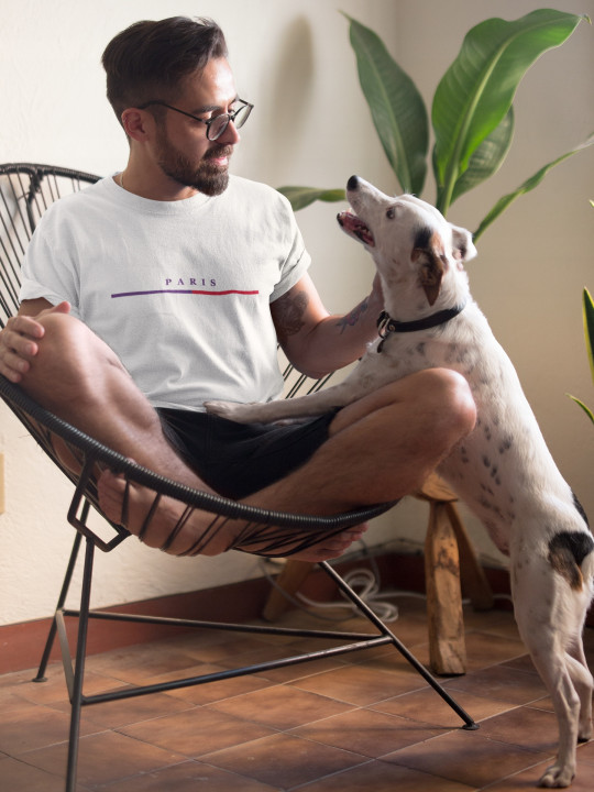 Koszulka męska PARIS elegancki stylowy minimalistyczny wzór T-shirt męski — zdjęcie 4