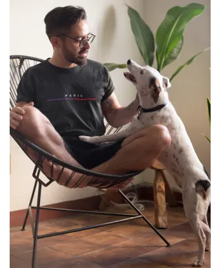 Koszulka męska PARIS elegancki stylowy minimalistyczny wzór T-shirt męski