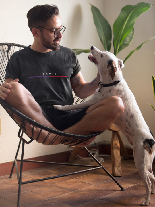 Koszulka męska PARIS elegancki stylowy minimalistyczny wzór T-shirt męski — zdjęcie 4