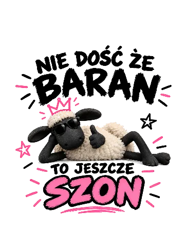 Projekt „Baran w Koronie” — Inspiracje Pantomi